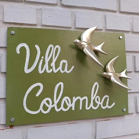 Colomba - Mirella Dunkirk